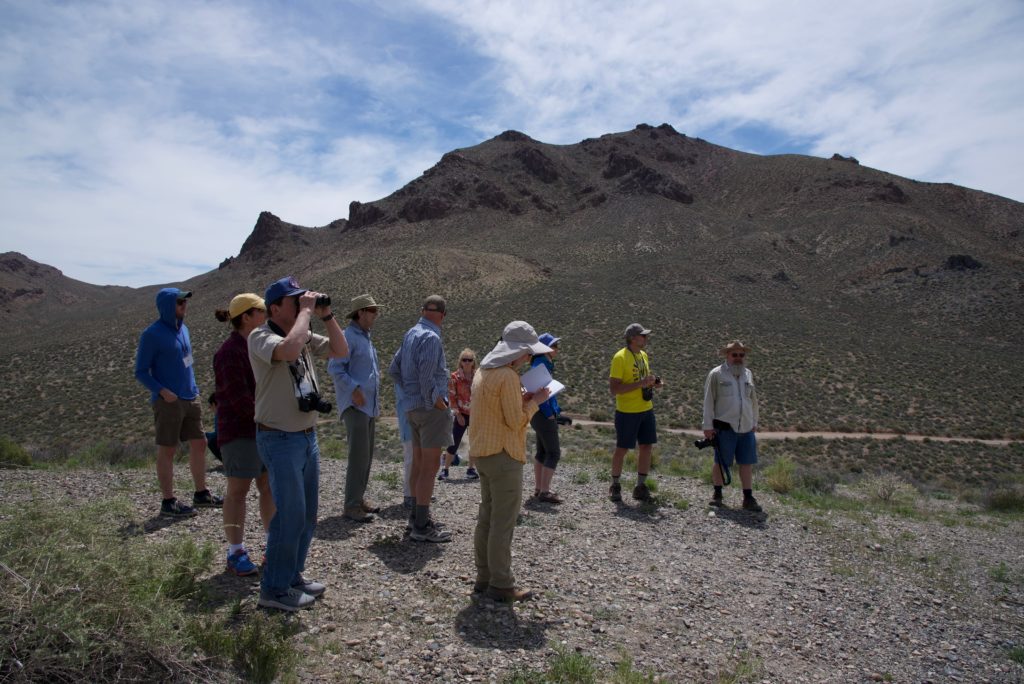 fieldwork at Death Valley