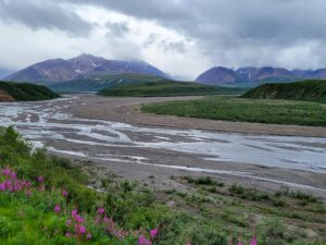 braided rivers, Denali National Park and Preserve